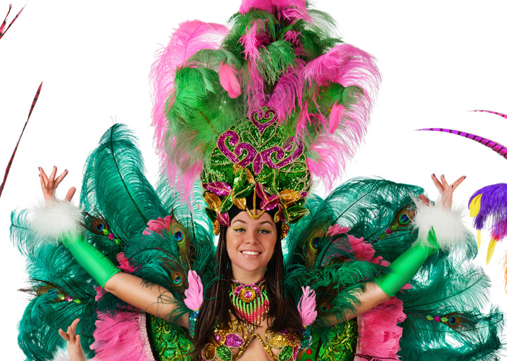 Las Vegas Revues Show